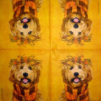 HUN-654 Dogs - 3-ply - ppd - Two Can Art